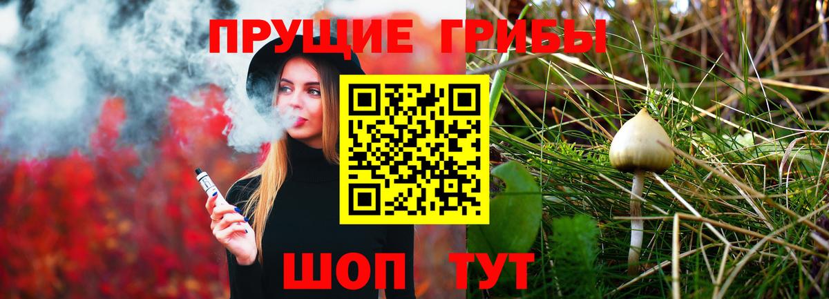 Галлюциногенные грибы GOLDEN TEACHER  Вход с VPN  Псилоцибиновые грибы Psilocybe  Сунжа 